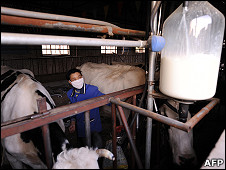 内蒙古呼和浩特附近某农村奶站（资料图片）