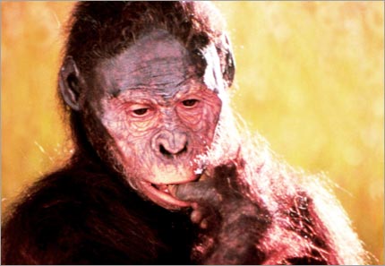 Lucy (Australopithecus afarensis) 