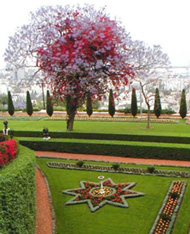 Bahá'í garden with lawns and star-shaped flower beds