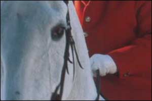 Red huntsman's jacket and horse