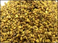 امريکايي رشقه