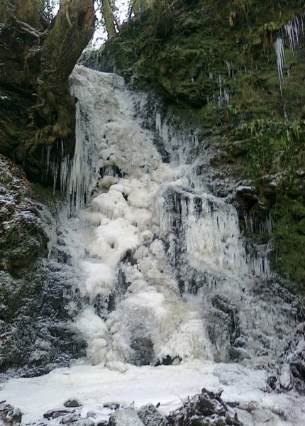 Waterfall by Michael McCann