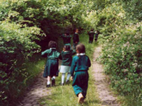 Railway Field Local Nature Reserve , haringey N4