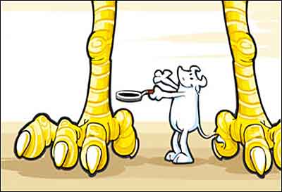 طراحی زرتشت سلطانی