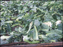 زوړښار، نوې هيلې