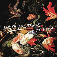 Review of Dye It Blonde Review of Dye It Blonde