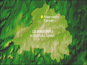 Abernethy Forest map