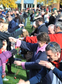 All 502 conker matches under way at RHS Wisley (c) Jon Enoch