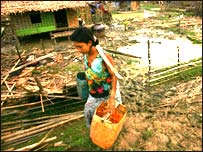 Наслідки циклону в Бірмі