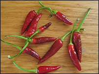chillis203.jpg
