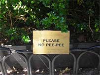 Do you think that Greenwich Village dogs can read?