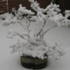 Magnolia in Compton, Berks
