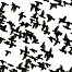 Starlings flying in formation