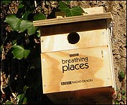 One of the BBC nest boxes