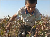 Пахта тераётган бола