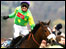 Kauto Star (GETTY IMAGES)