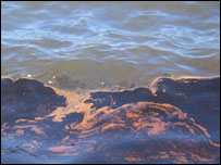 سمندر میں تیل