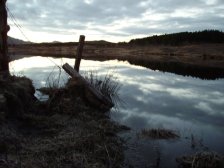 roadside loch early morning