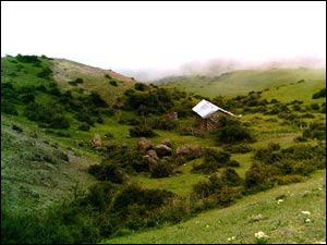 عکس از سید وحید حسینی