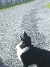 The ball is up there & he wants it.