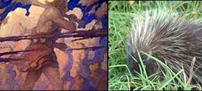  له لارې ډار