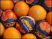 پرتقال در بازار تهران