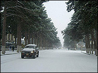 بارش برف در هرات