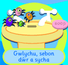 Wet, Soap Rinse and Dry