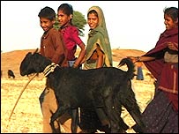 झाबुआ के आदिवासी