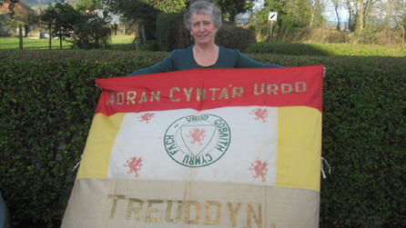 Baner Treuddyn