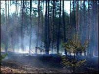 Лісові пожежі в цьому році в Україні вже були. На фото: Луганщина, початок серпня. Фото УНІАН