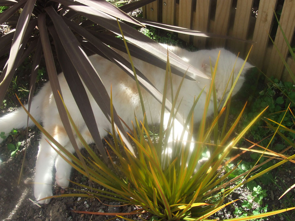 me in second favourite place