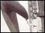 Woman stands next to a ship's propeller