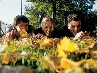 Mint Royale with Lauren Laverne