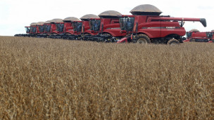 Soja | Crédito da foto: Reuters