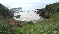 Brandy Cove