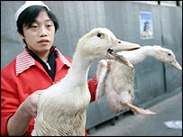Chinês vende patos num mercado de Pequim