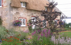 (image: The Daily Mail Cottage Garden)