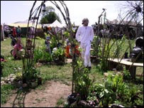 Sunrise Celebration Festival