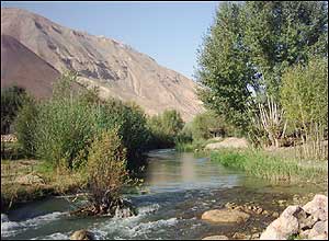 یب