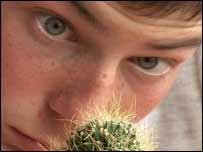 Robbie stares at a cactus plant