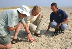 Ian Killeen and Evelyn Moorkens