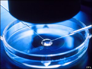 A step in the process of in vitro fertilisation