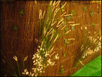 Woodland exhibition in the Open Centre