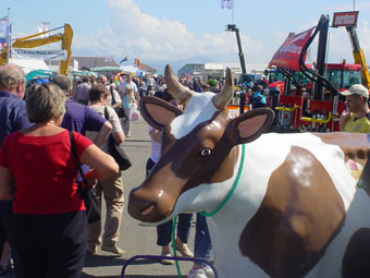 Buwch blastig ar faes y sioe