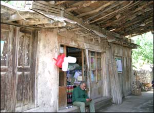 عکس ازمهرناز ناج شاد