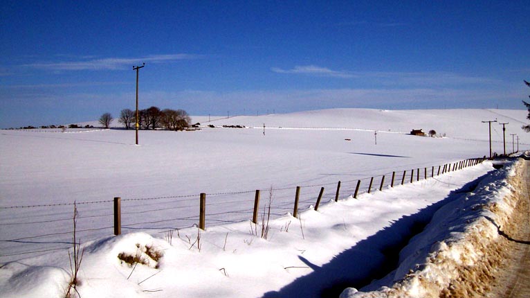 Hunndaidh san t-sneachda