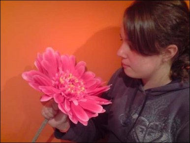 That's a BIG Flower.