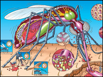 پشه يی جادويی