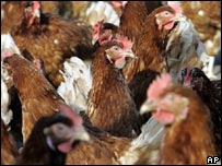 Anh chuẩn bị công bố kế hoạch dự phòng chống cúm